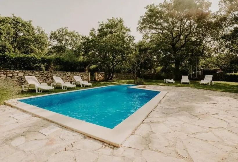 テラス付きスタンダードルーム, Bed And Breakfast Kolo Adults Only
