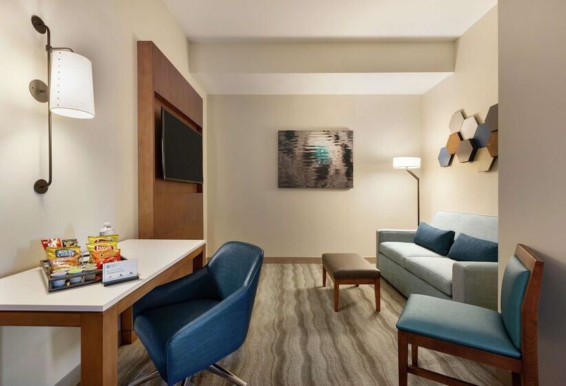 장애인을 위한 스위트, Embassy Suites By Hilton Sarasota, Fl