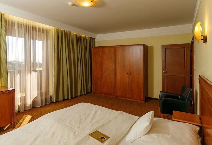 标准间带山景, International