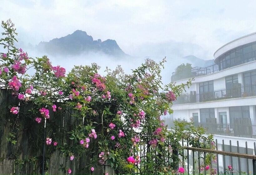 اتاق کلاسیک, Pao S Sapa Leisure