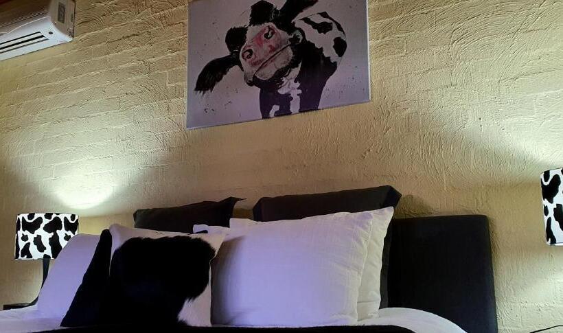 דירת חדר, Great Escape Lofts