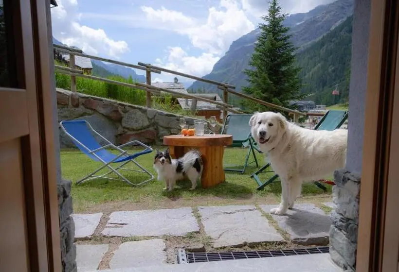 استودیوی استاندارد, Walsertal Residence