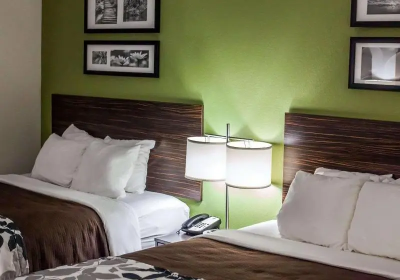 スタンダードルーム, Greentree Inn Anhui Wuhu Zhongshan Road Pedestrian Street Express