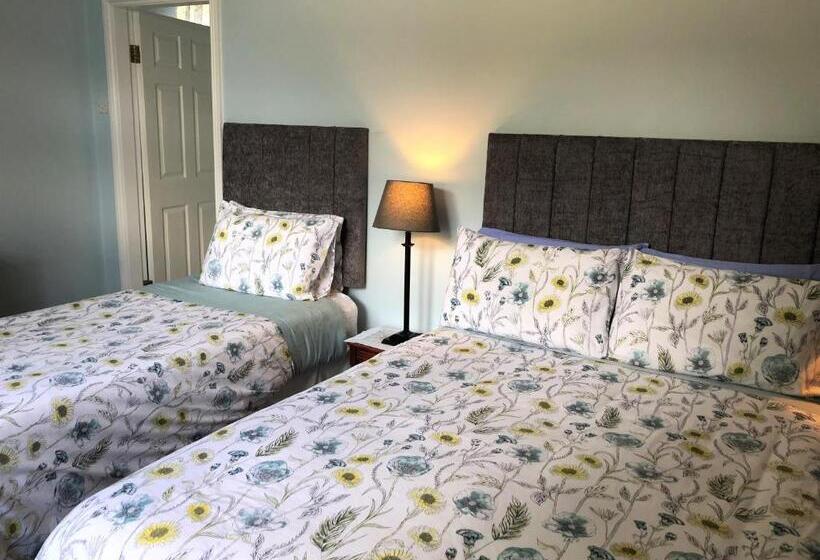 스탠다드 룸, Fitzgerald S Farmhouse Accommodation V94 Yy47