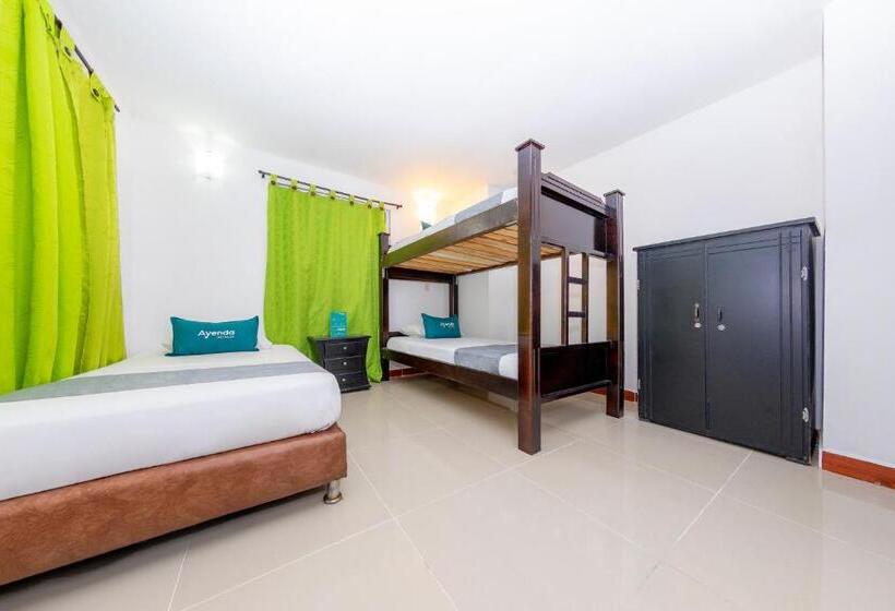 غرفة قياسية ثلاثية, Ayenda Florida Nueva