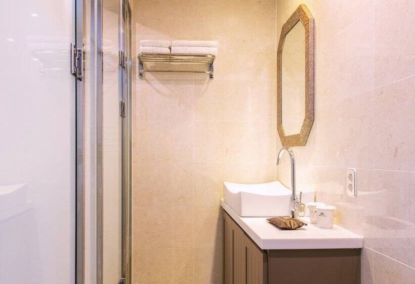 غرفة قياسية ذات إطلالة, Central Park Hotel Busan