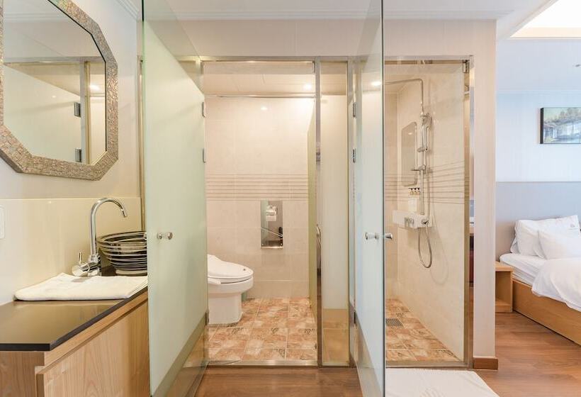 غرفة قياسية ذات إطلالة, Central Park Hotel Busan