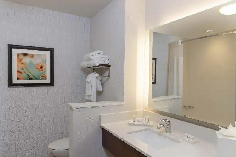 キングサイズベッドのスタンダードルーム, Fairfield Inn & Suites By Marriott Indianapolis Carmel
