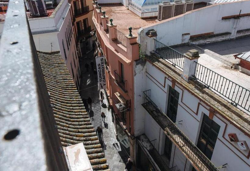 Appartamento Superiore 1 Camera da Letto, Hommyhome Casa Assle