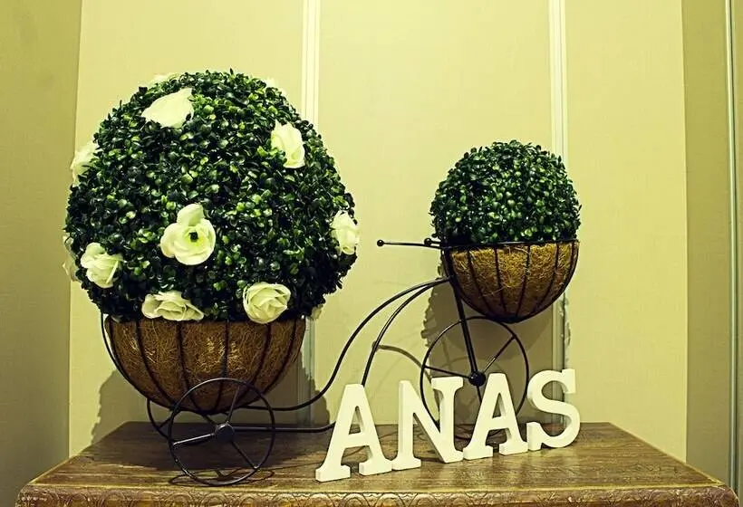 StandaardKamer, Hostal Anas