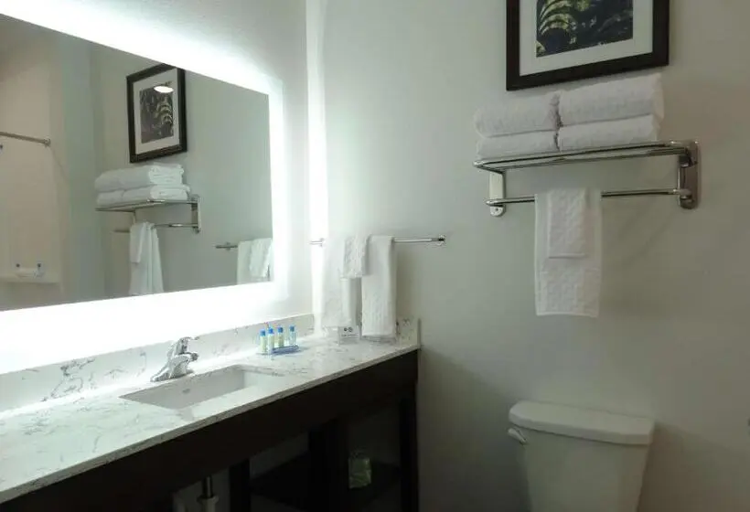 Standard-huone, Best Western Plus New Richmond Inn & Suites