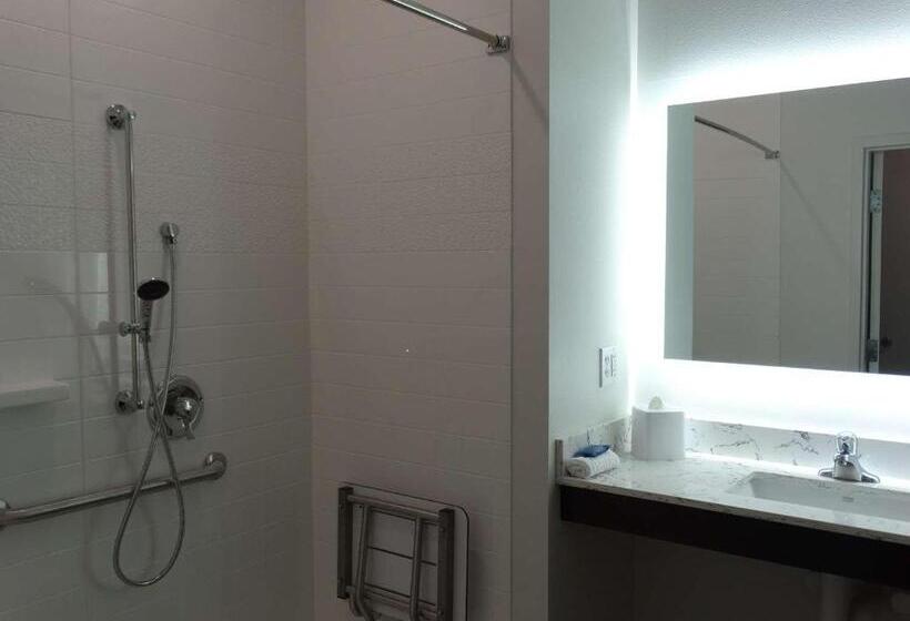 جناح لذوى الاحتياجات الخاصة, Best Western Plus New Richmond Inn & Suites