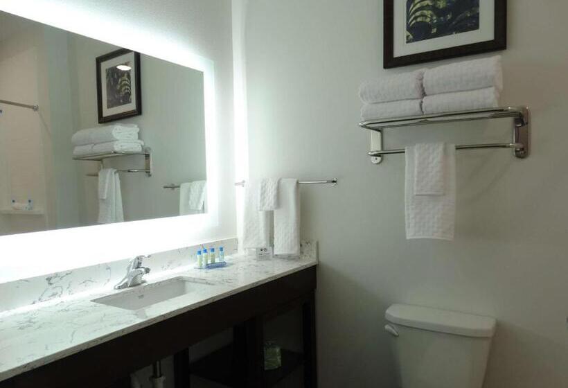 Стандартный Номер Кровать Кинг, Best Western Plus New Richmond Inn & Suites