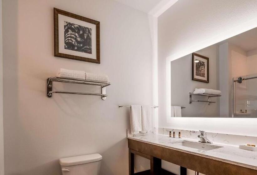 غرفة قياسية سرير كينج, Best Western Plus New Richmond Inn & Suites