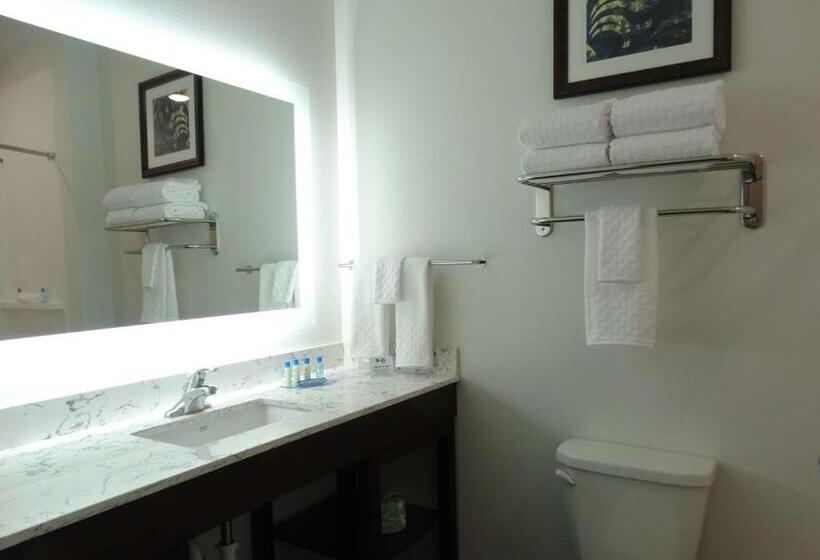 Стандартный Номер Кровать Кинг, Best Western Plus New Richmond Inn & Suites