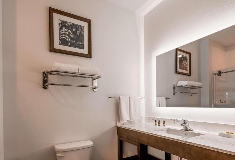 Номер Стандарт с Кухней, Best Western Plus New Richmond Inn & Suites
