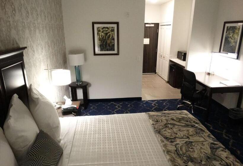 Номер Стандарт Кровать Кинг Адаптированный для Инвалидов, Best Western Plus New Richmond Inn & Suites