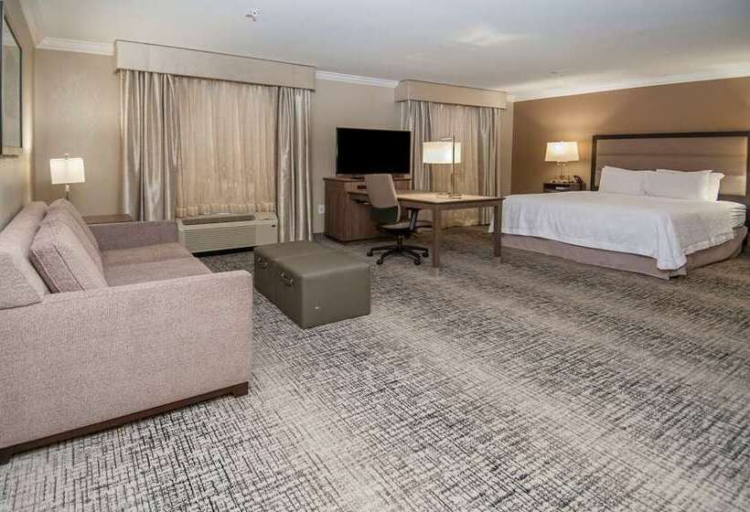 스탠다드 룸 킹사이즈 침대, Hampton Inn & Suites Rocky Hillhartford South
