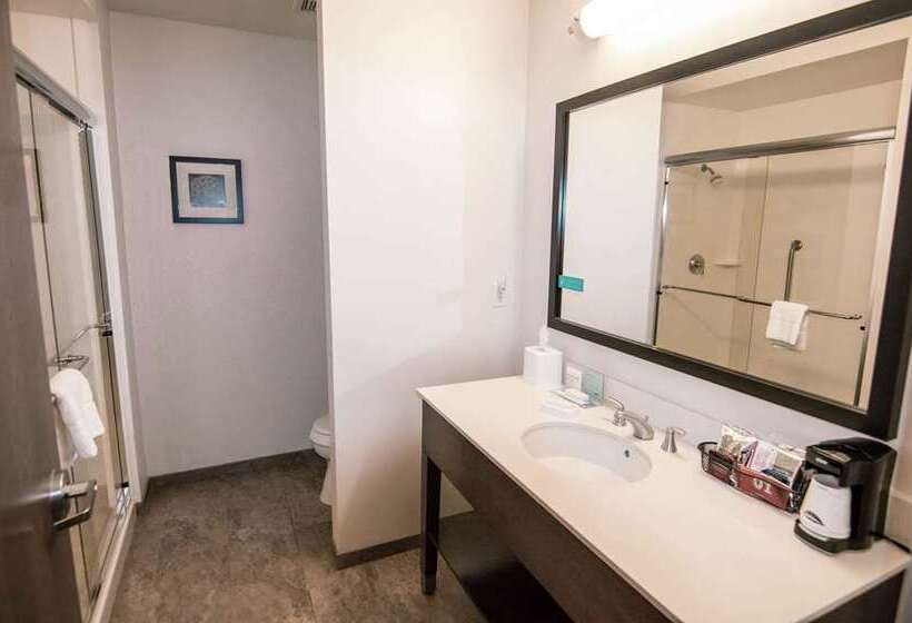 身障者適用スタンダードルーム, Hampton Inn & Suites Rocky Hillhartford South