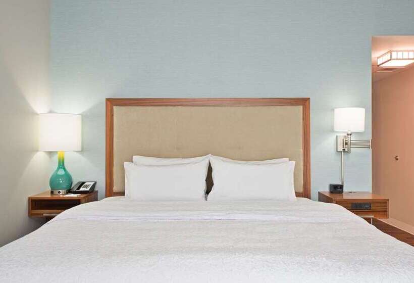 身障者適用スタンダードルーム, Hampton Inn & Suites Rocky Hillhartford South