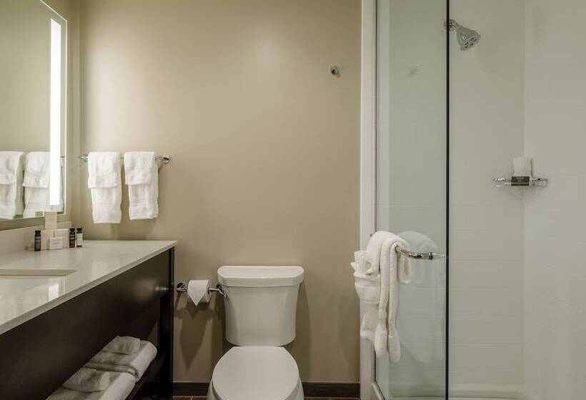 Номер Deluxe, Madison & Shenandoah Conference Ctr