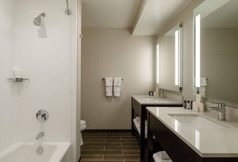 Президентский Люкс, Madison & Shenandoah Conference Ctr