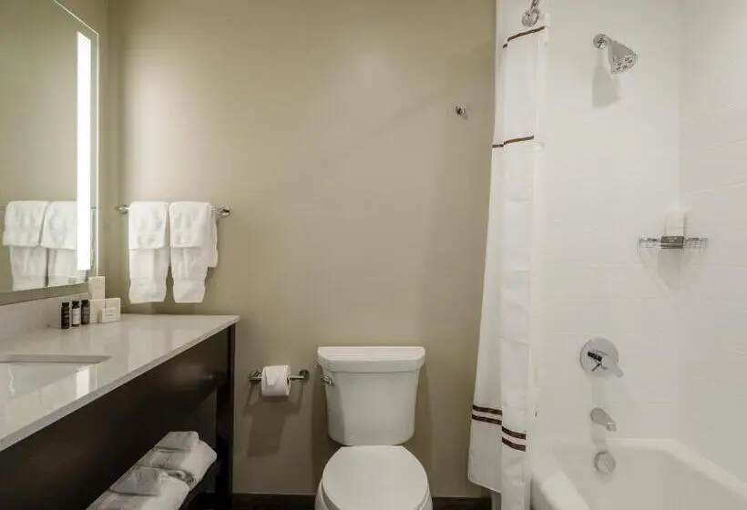 キングサイズベッドのデラックスルーム, Madison & Shenandoah Conference Ctr