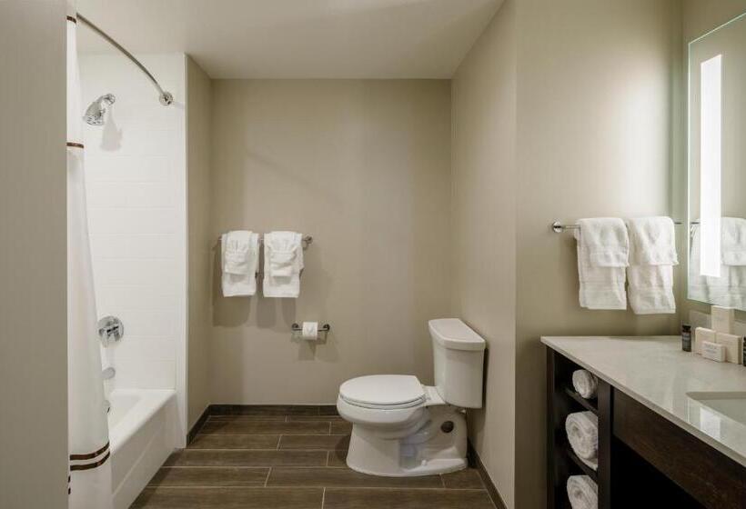 Люкс Deluxe Кровать Кинг, Madison & Shenandoah Conference Ctr