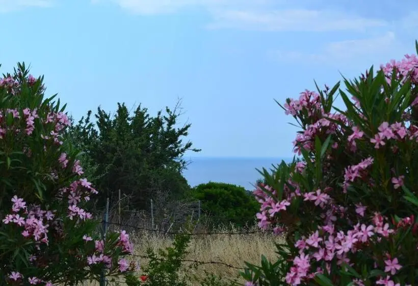 Standard-huone, Agriturismo Paulesa