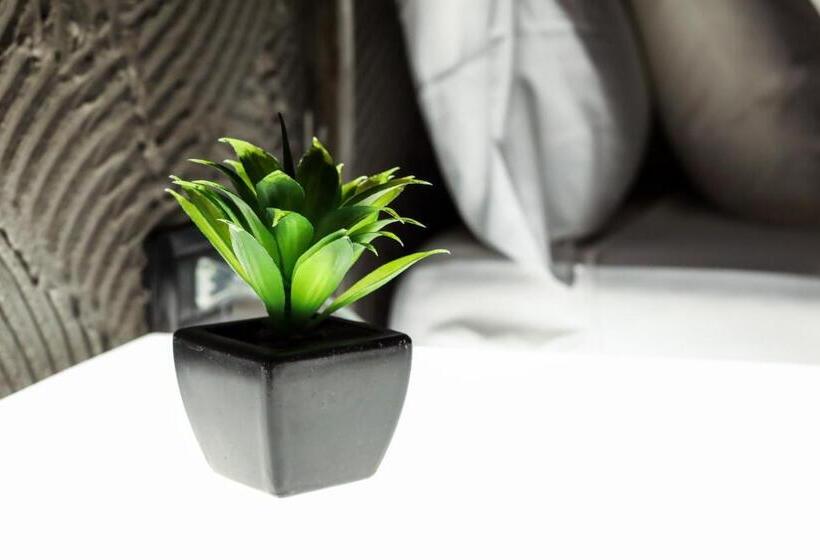 小型套房带城市景观, Casa Manfredi   Manfredi Homes&villas