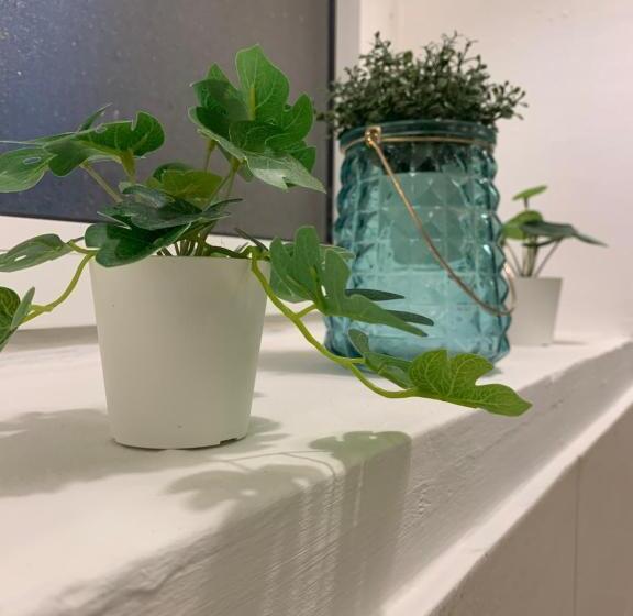 غرفة قياسية, Mama