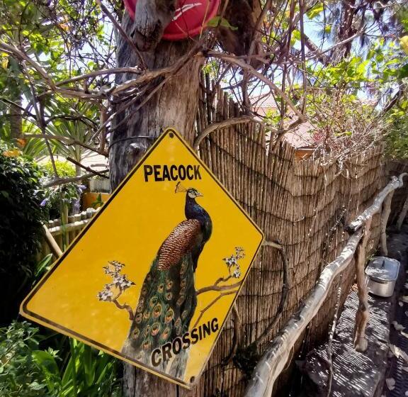 １ベッドルームハウス, Casas Maravilha Calheta