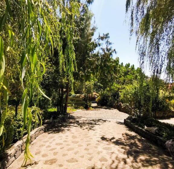 １ベッドルームハウス, Casas Maravilha Calheta