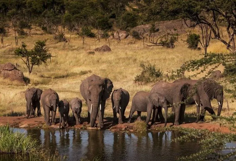 سوئیت با چشمانداز, Four Seasons Safari Lodge Serengeti