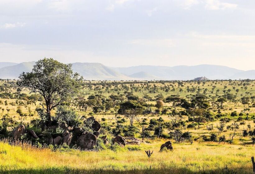 سوئیت با چشم‌انداز, Four Seasons Safari Lodge Serengeti