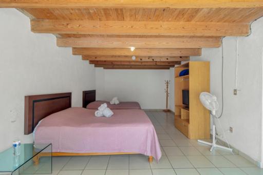 غرفه قياسيه سريرين مزدوجين, Posada San Javier