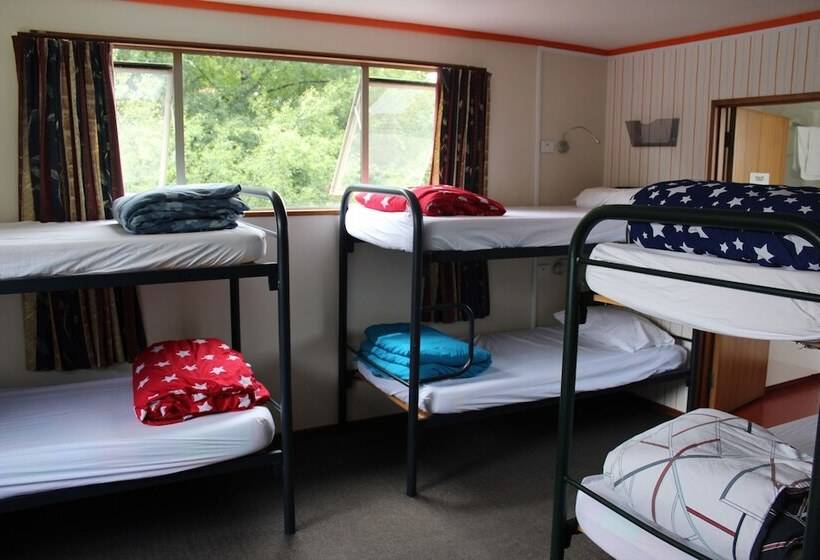 Кровать в Общей Комнате, The Flaming Kiwi Backpackers