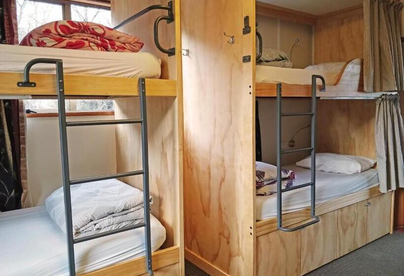 Кровать в Общей Комнате, The Flaming Kiwi Backpackers