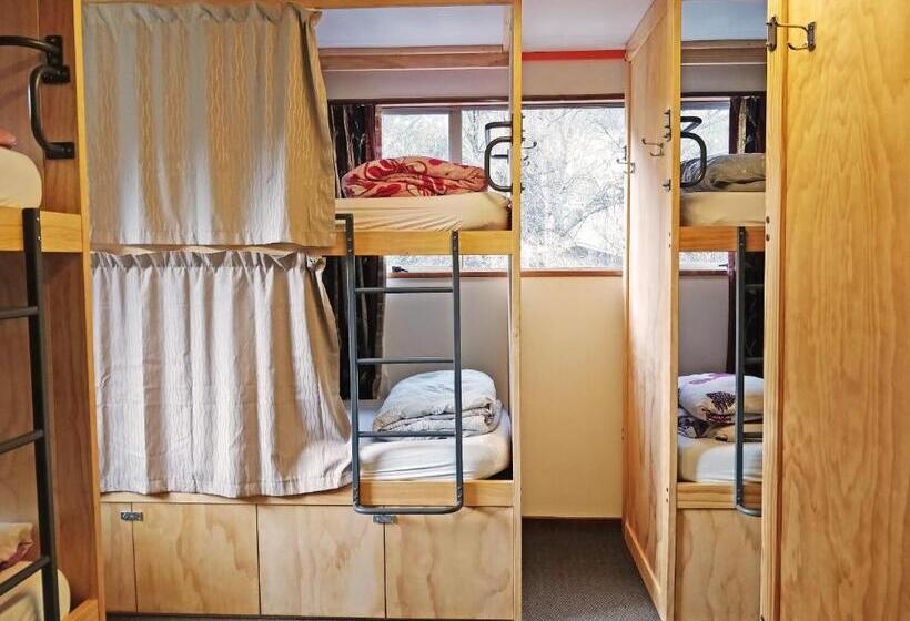 Кровать в Общей Комнате, The Flaming Kiwi Backpackers