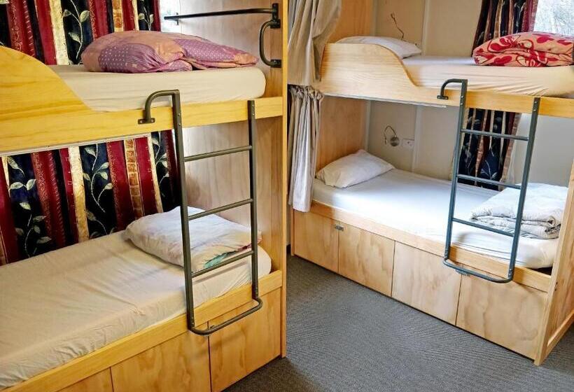 Кровать в Общей Комнате, The Flaming Kiwi Backpackers