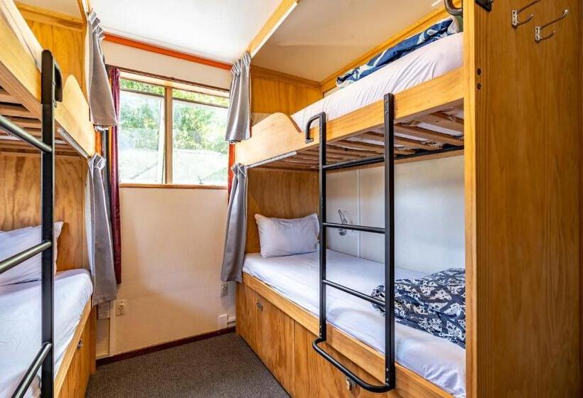 Кровать в Общей Комнате, The Flaming Kiwi Backpackers