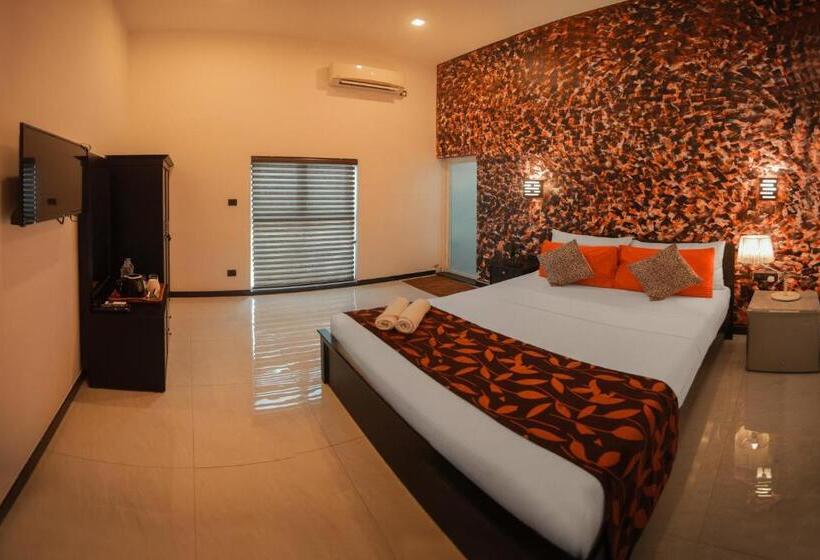 חדר דלוקס, D Plus B&b Negombo