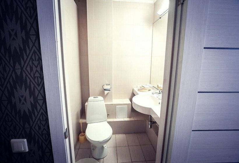 آپارتمان کلاسیک 1 خوابه, Park Hotel Shishka