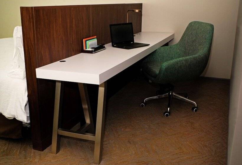 חדר פרמיום, Hilton Garden Inn Dallas  At Hurst Conference Center