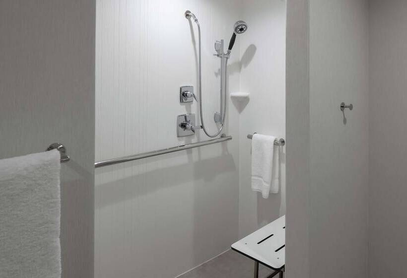 חדר פרמיום, Hilton Garden Inn Dallas  At Hurst Conference Center