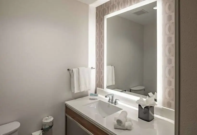 身障者適用スタンダードルーム, Hilton Garden Inn Dallas  At Hurst Conference Center