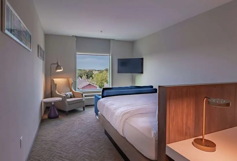 身障者適用スタンダードルーム, Hilton Garden Inn Dallas  At Hurst Conference Center