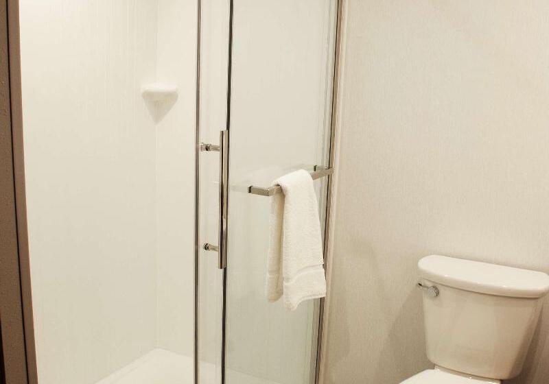 חדר סטנדרט עם מיטת קינג, Hilton Garden Inn Dallas  At Hurst Conference Center