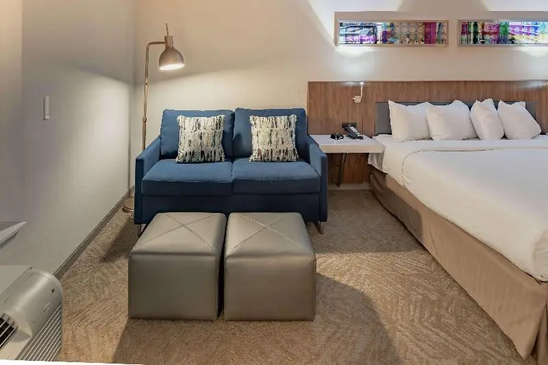 キングサイズベッドのスタンダードルーム, Hilton Garden Inn Dallas  At Hurst Conference Center