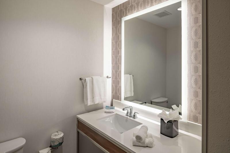 Стандартный Номер Кровать Кинг, Hilton Garden Inn Dallas  At Hurst Conference Center